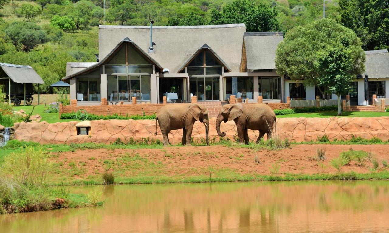 African Hills Safari Lodge & Spa มากาลีสเบิร์ก ภายนอก รูปภาพ