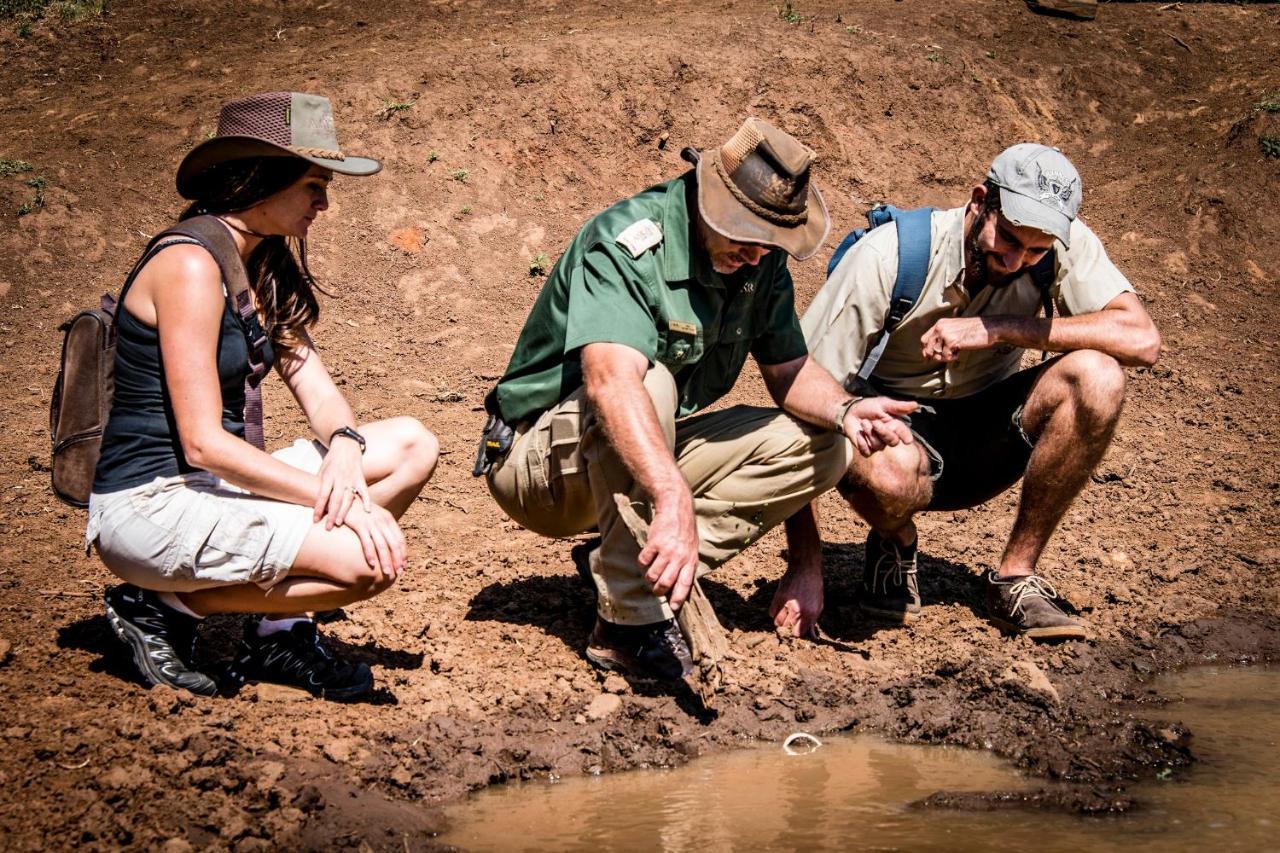 African Hills Safari Lodge & Spa มากาลีสเบิร์ก ภายนอก รูปภาพ