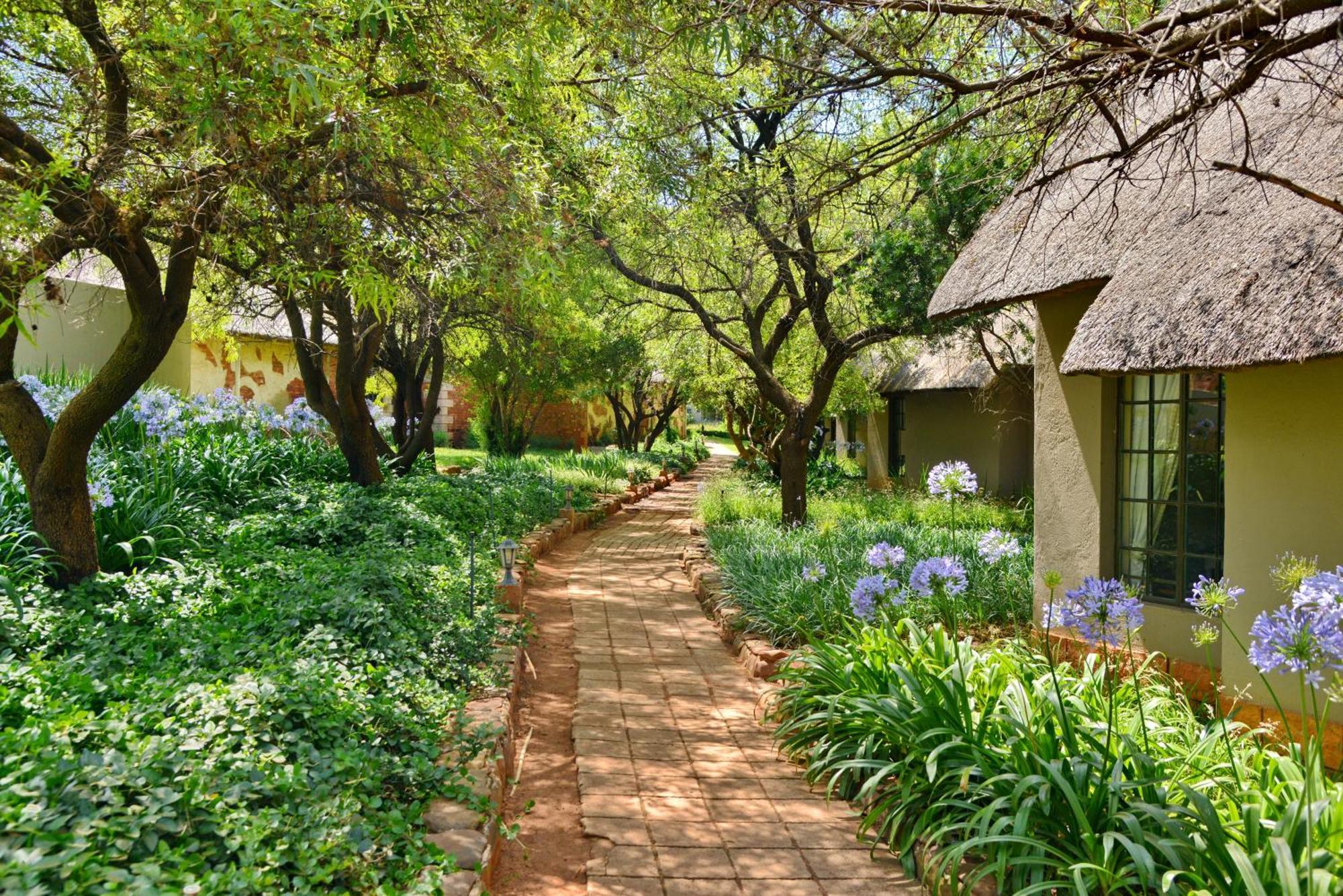 African Hills Safari Lodge & Spa มากาลีสเบิร์ก ภายนอก รูปภาพ