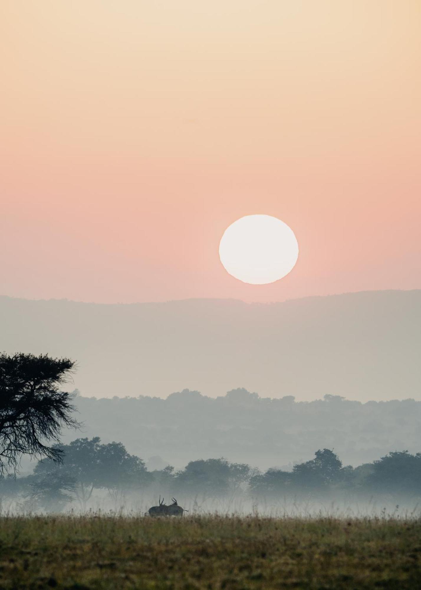 African Hills Safari Lodge & Spa มากาลีสเบิร์ก ภายนอก รูปภาพ