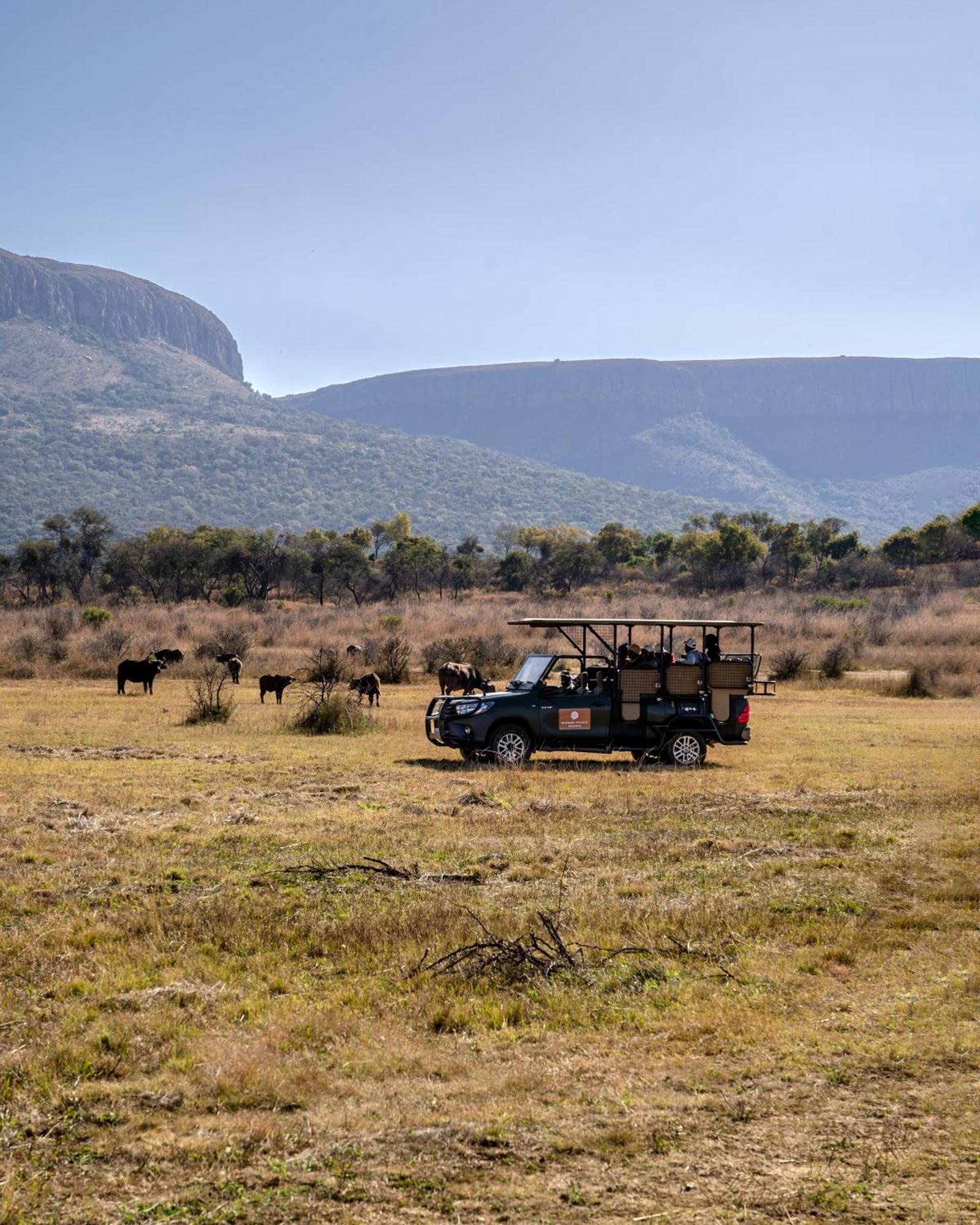 African Hills Safari Lodge & Spa มากาลีสเบิร์ก ภายนอก รูปภาพ